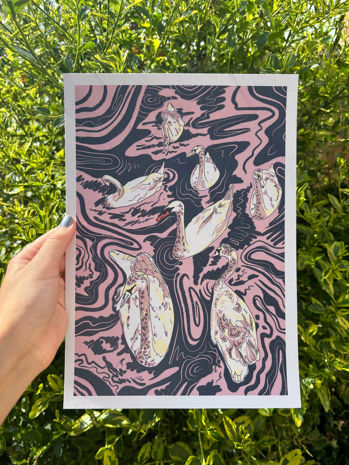 A hand holds an A4 sized  art print featuring 7 stylised swans over a pink and dark blue wavy patterned water, set against a background of green foliage.